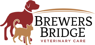 Brewers Bridge Veterinary Care