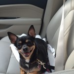 Coco